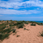 riserva-belice3